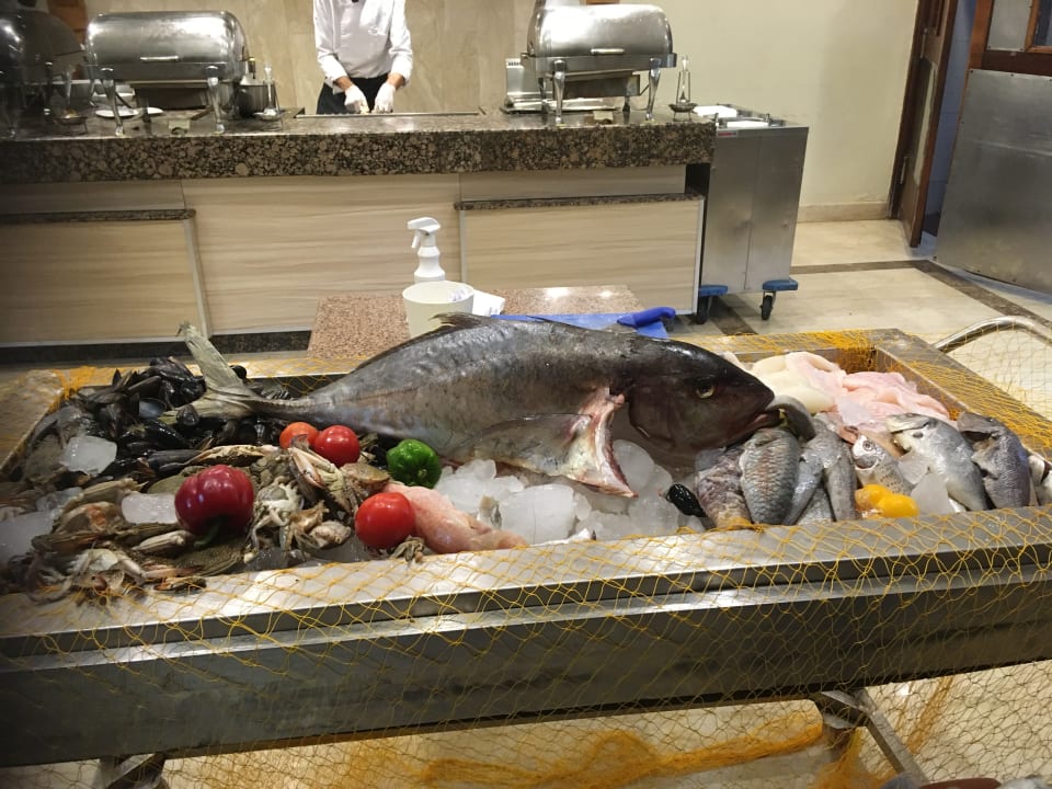 Gastro Shams Prestige Abu Soma-Adults Only