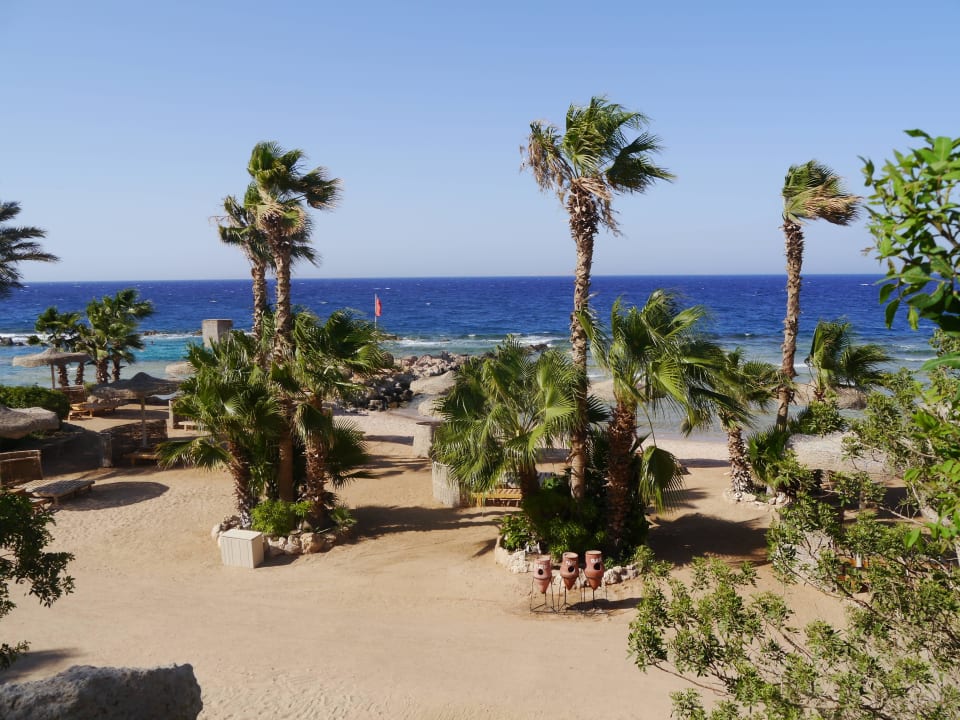 Strand Pickalbatros Citadel Resort