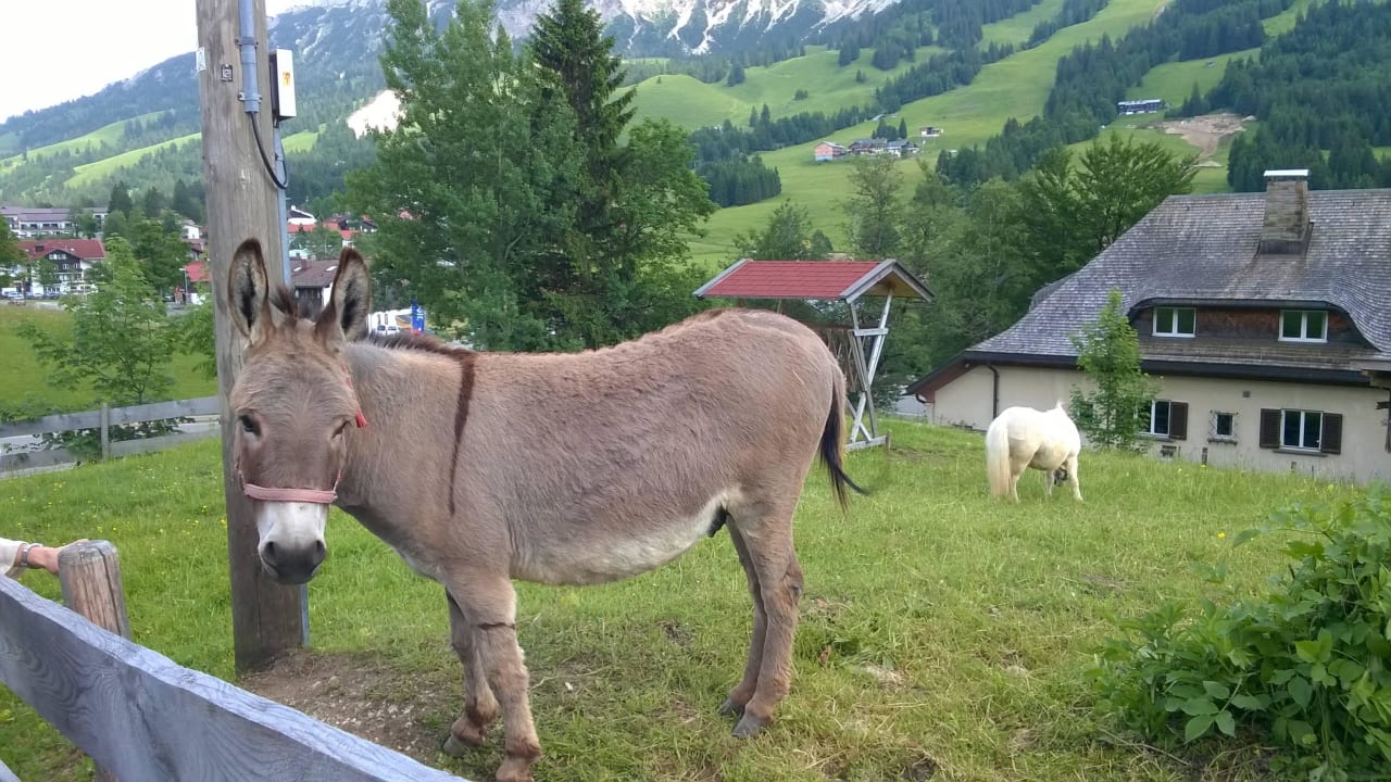 Hoteltiere Oberjoch - Familux Resort
