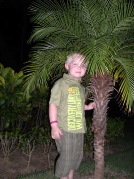 Kleine Palmen... Grand Palladium Select Bávaro Resort & Spa