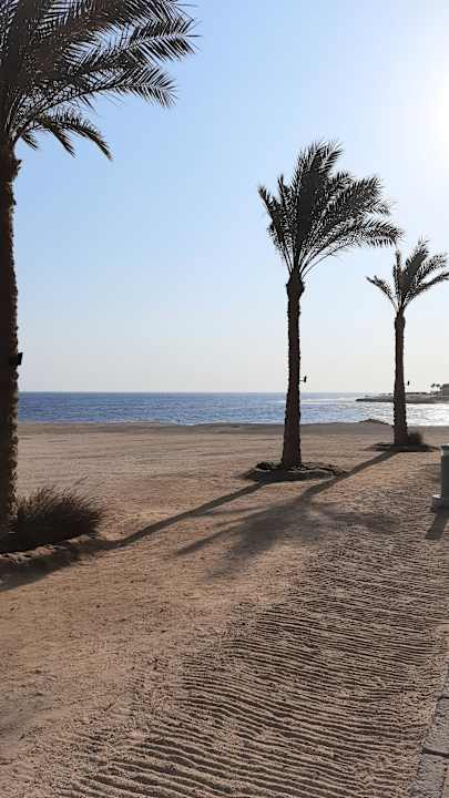 Strand Steigenberger Coraya Beach - Adults only