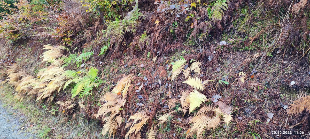 Ausblick Berghotel Hoher Knochen