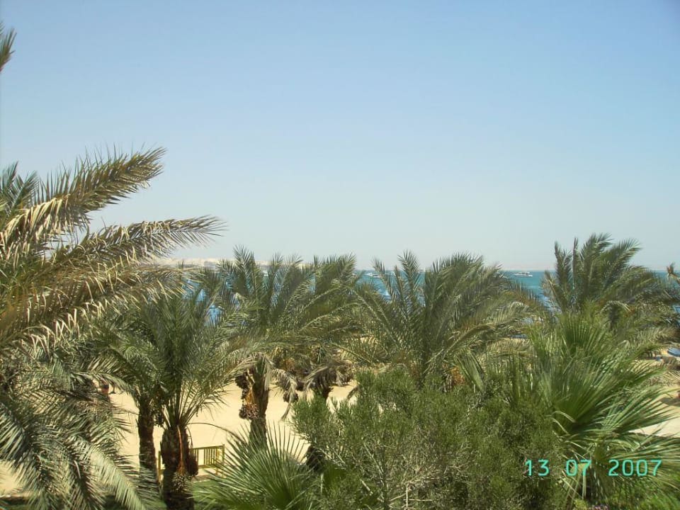 schnappschuss Aus Zimmer 633 The Grand Hotel Hurghada