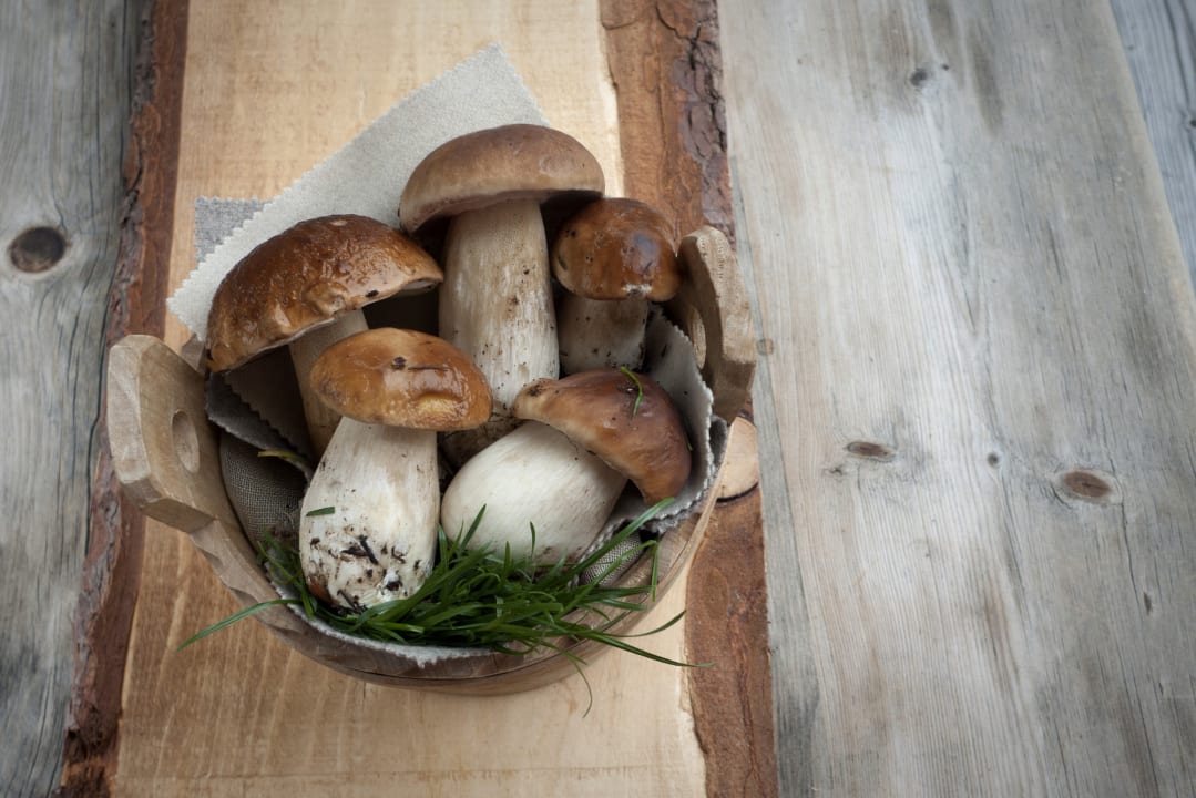 Gastro Berghotel Sanví