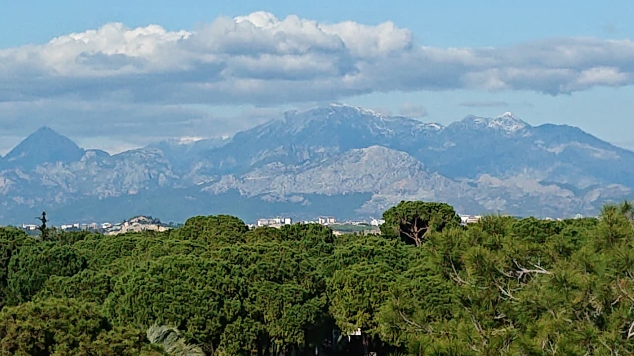 Ausblick Papillon Ayscha