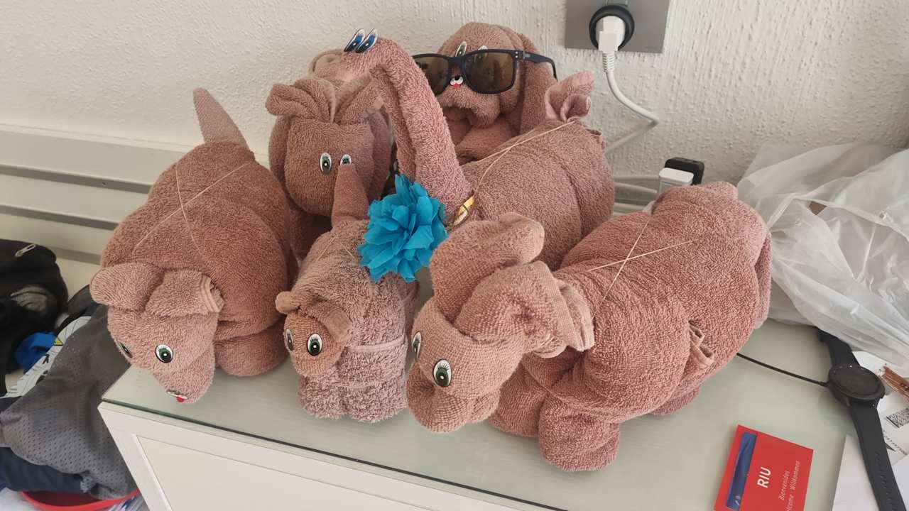 Zimmer Hotel Riu Playacar