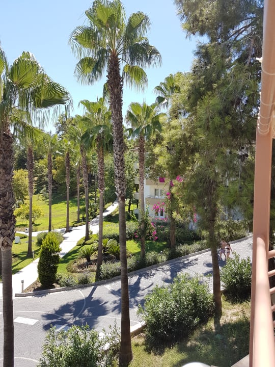Ausblick Club Sidelya Hotel