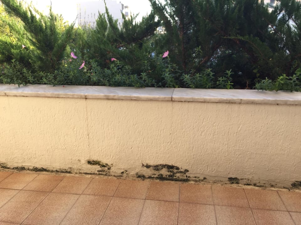 Zimmer Hotel Theartemis Palace