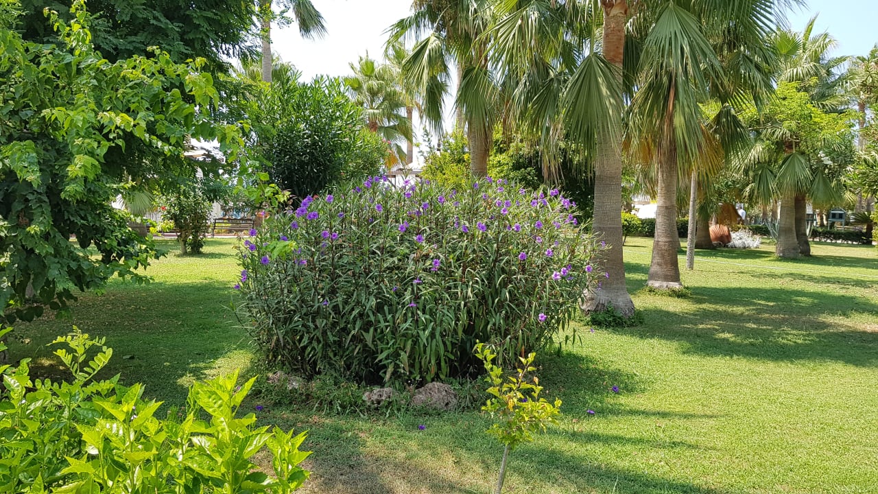 Garten Saphir Resort & Spa