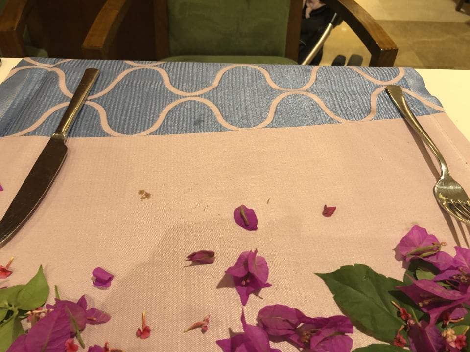 Gastro Calimera Serra Palace