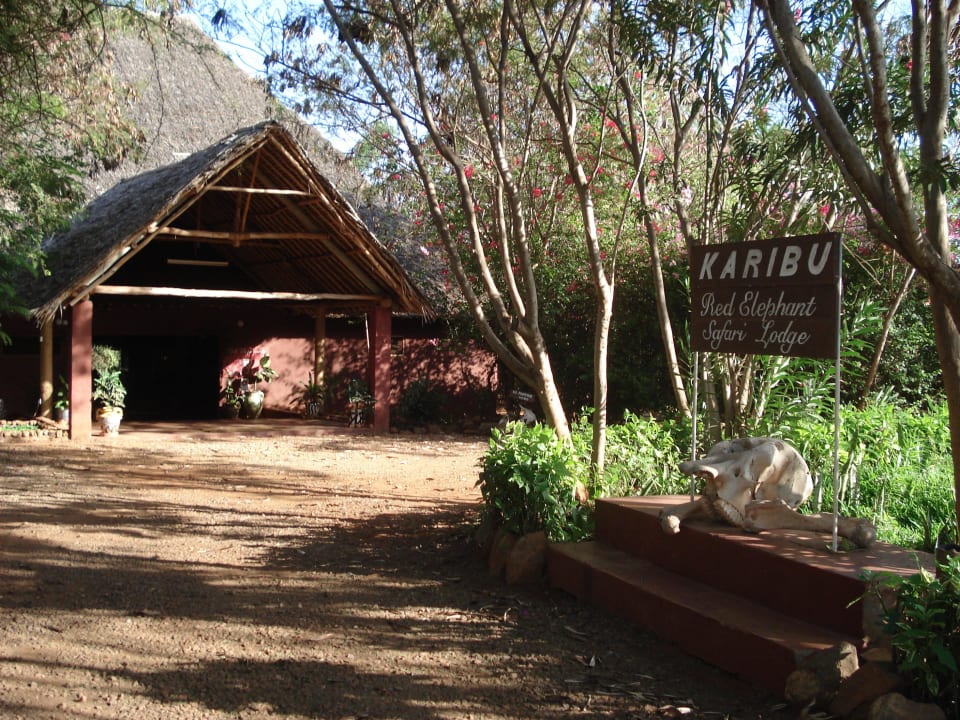 Red Elephant Safari Lodge  Red Elephant Safari Lodge