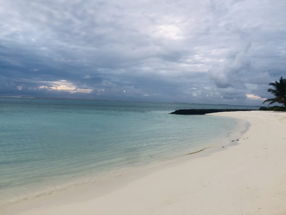 Strand Summer Island Maldives