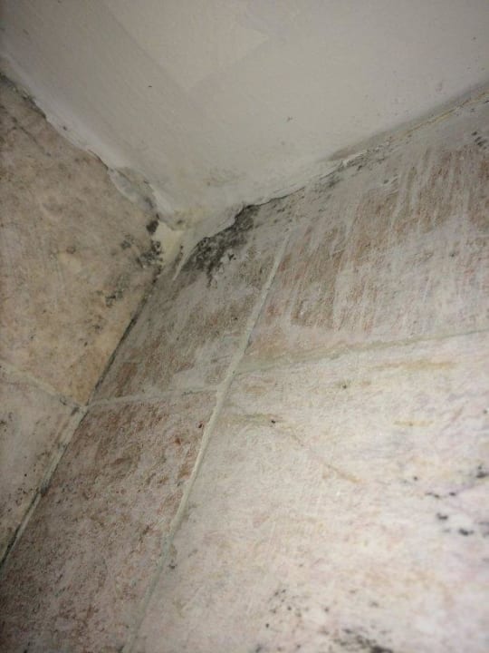 Schimmel im Bad Hotel El Mouradi Djerba Menzel