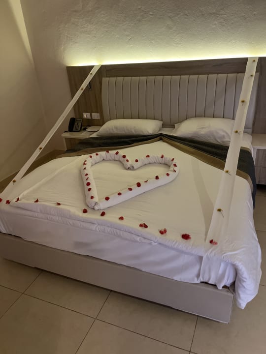 Zimmer Pickalbatros Citadel Resort