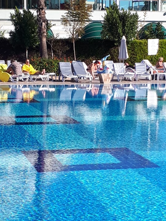 Pool Hotel Delphin Imperial