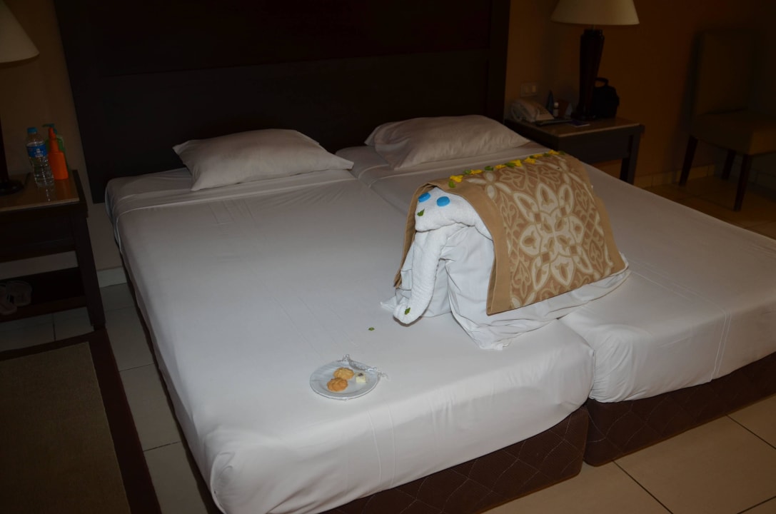 ??? Elefant ??? Jaz Dar EL Madina