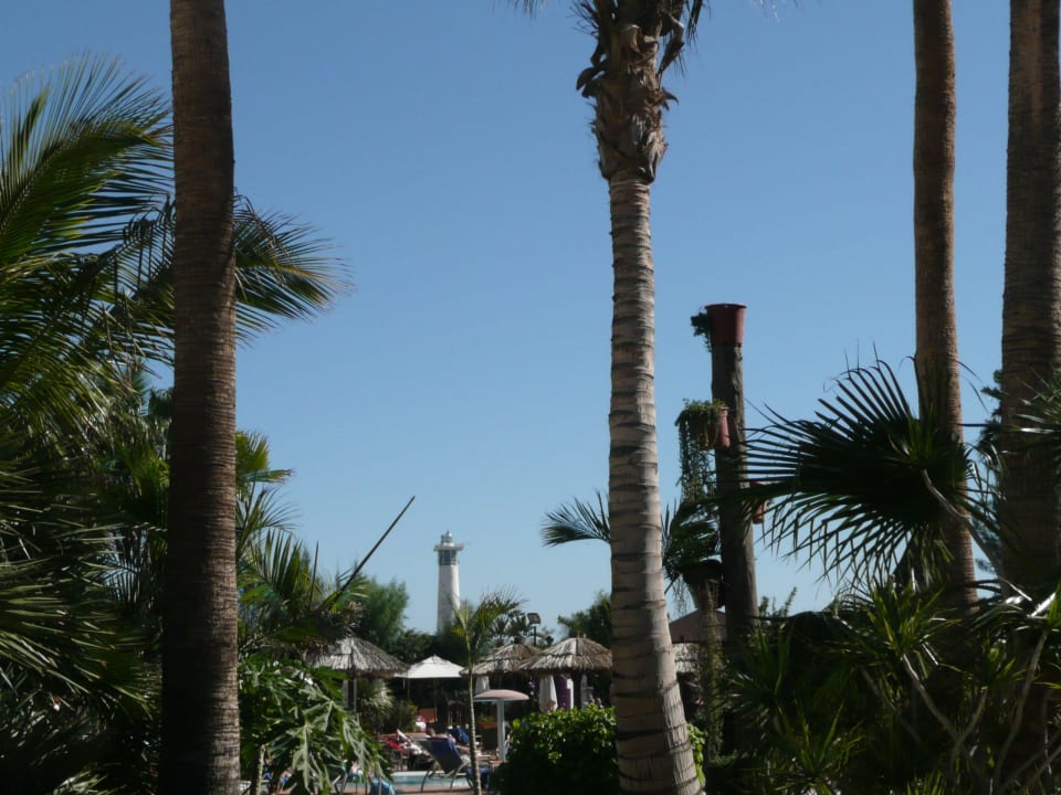 Garten mit Blick zum Leuchtturm IFA Altamarena by Lopesan Hotels
