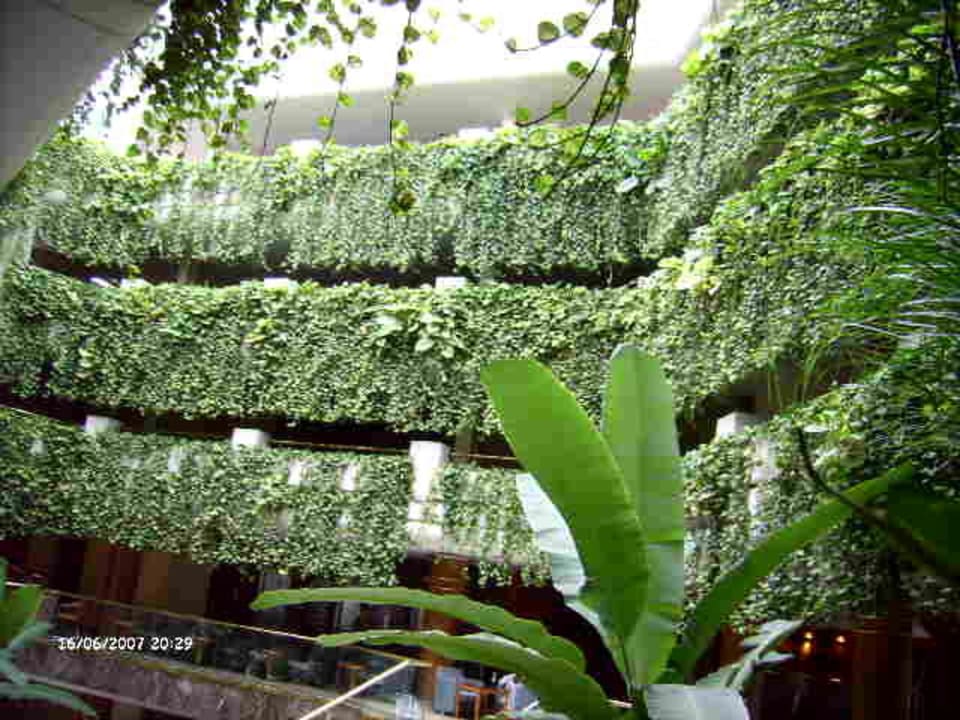 Üppig begrünte Etagen Alexandre Hotel Gala