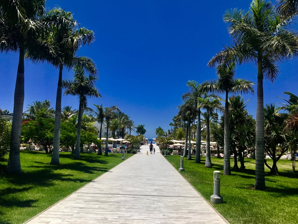 Gartenanlage Hotel Riu Palace Meloneras