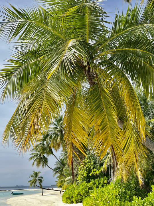 Strand Sun Siyam Vilu Reef