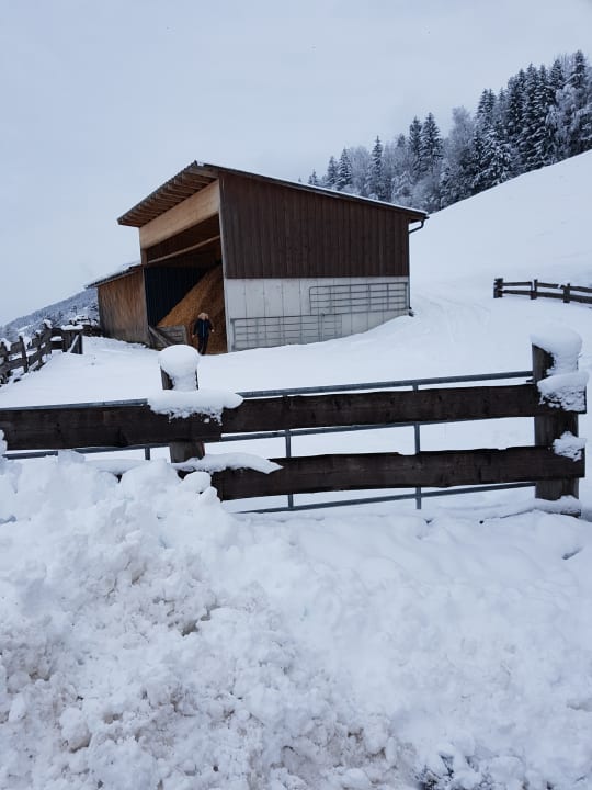 Ausblick Hotel Starchlhof