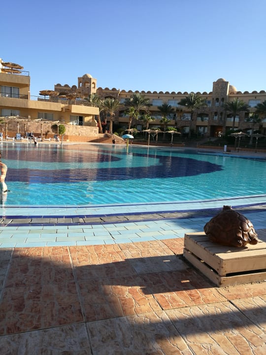 Pool Utopia Beach Club