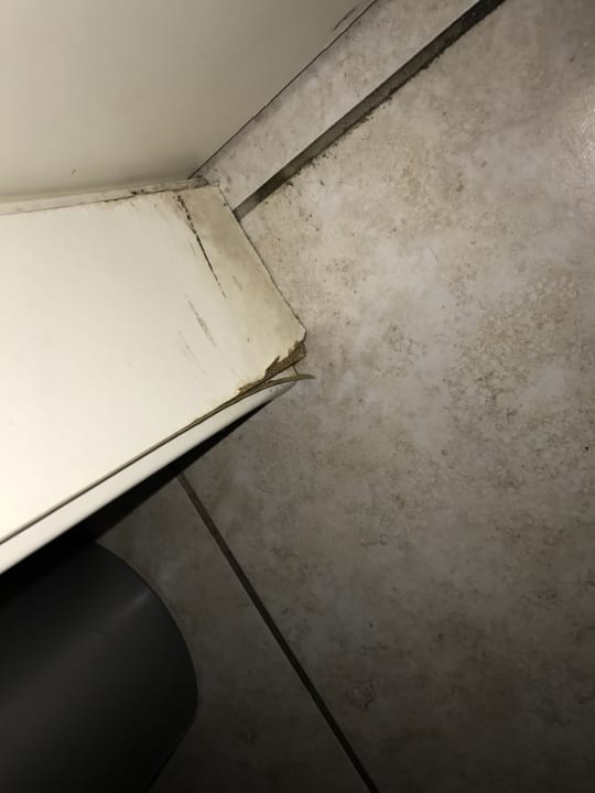 Lobby Hotel Domicil Hamburg by Golden Tulip