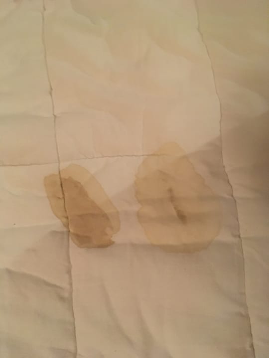 Zimmer Grand Waterworld Makadi & Family Star Makadi