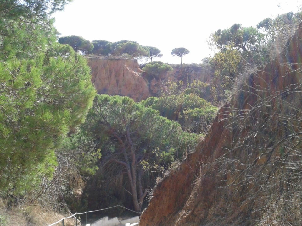 Auf dem Weg zum Strand 3HB Guaraná - All Inclusive