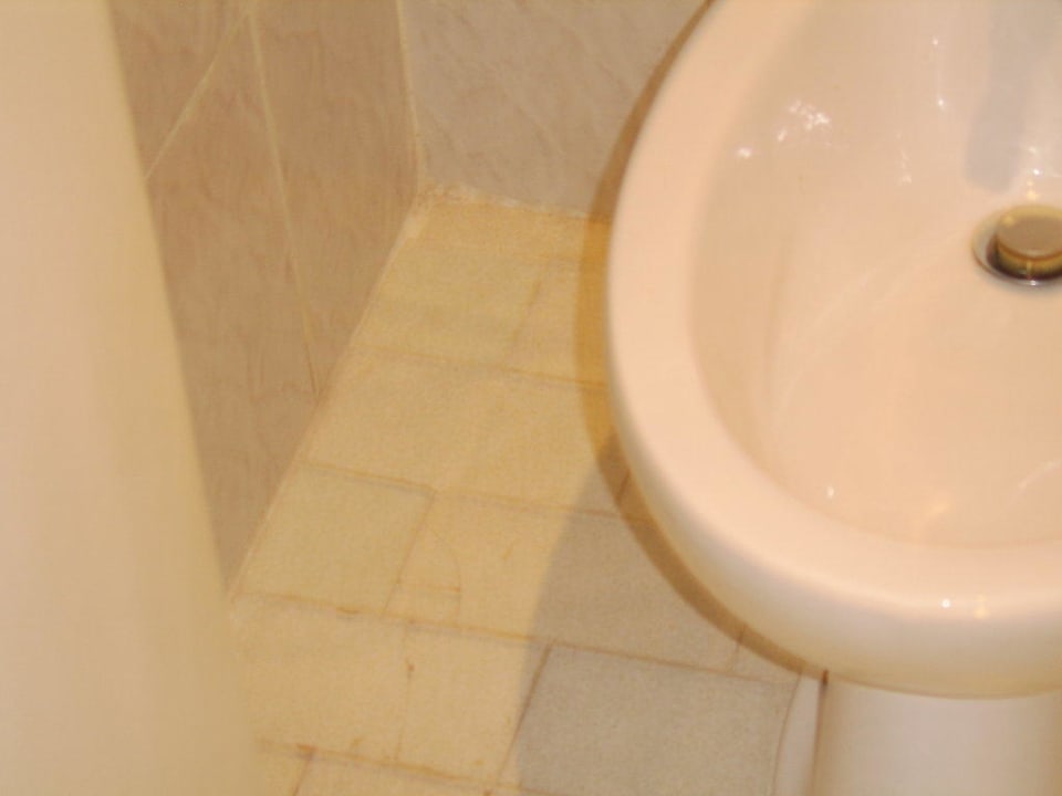 Toilette Hotel Amir Palace