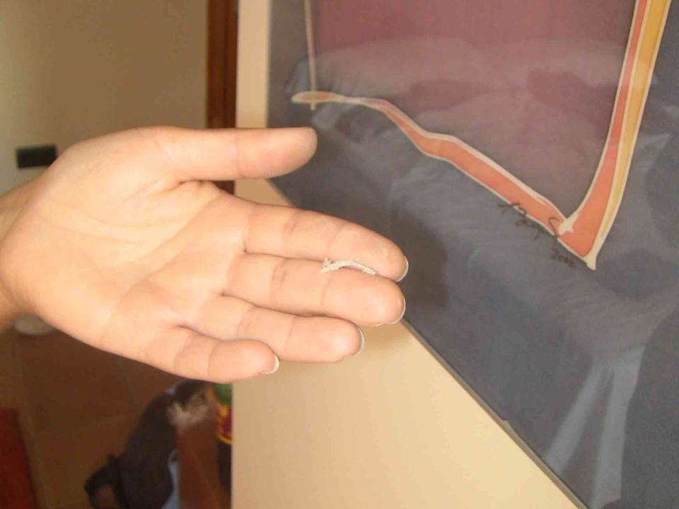 Bilderrahmen abwischen ist aber auch gemein... Hotel Mas Ferran