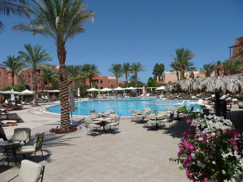 Poolanlage am Tag Jaz Makadi Blue - TUI BLUE Makadi - Adults Friendly 16 Years Plus