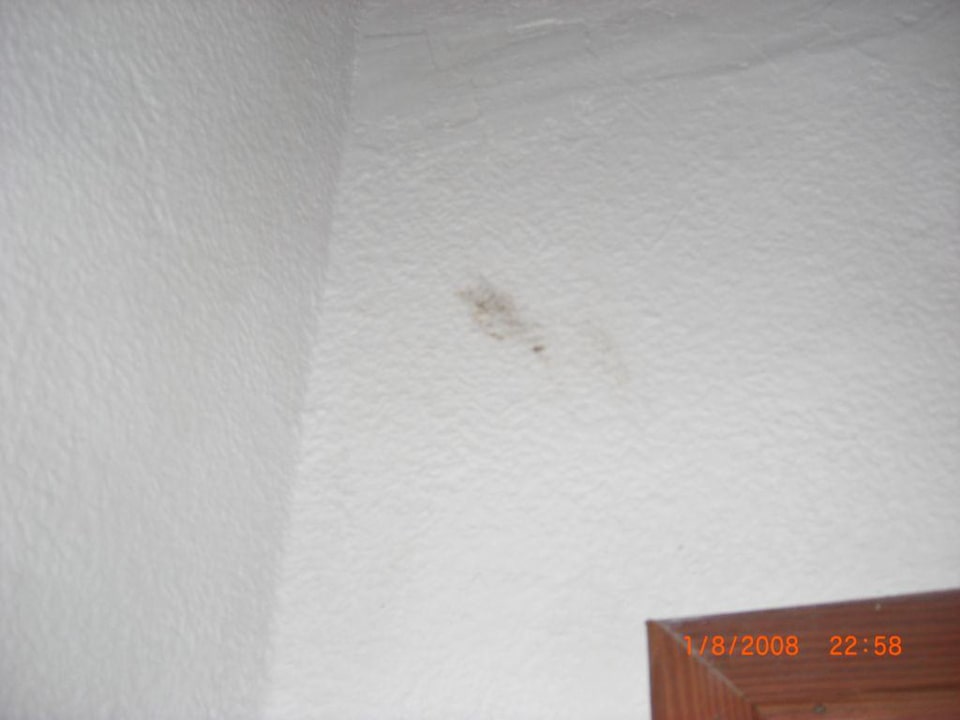 Schimmel im Zimmer Hostel Los Alamos