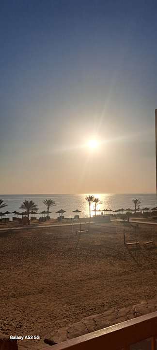 Zimmer Three Corners Sea Beach Resort