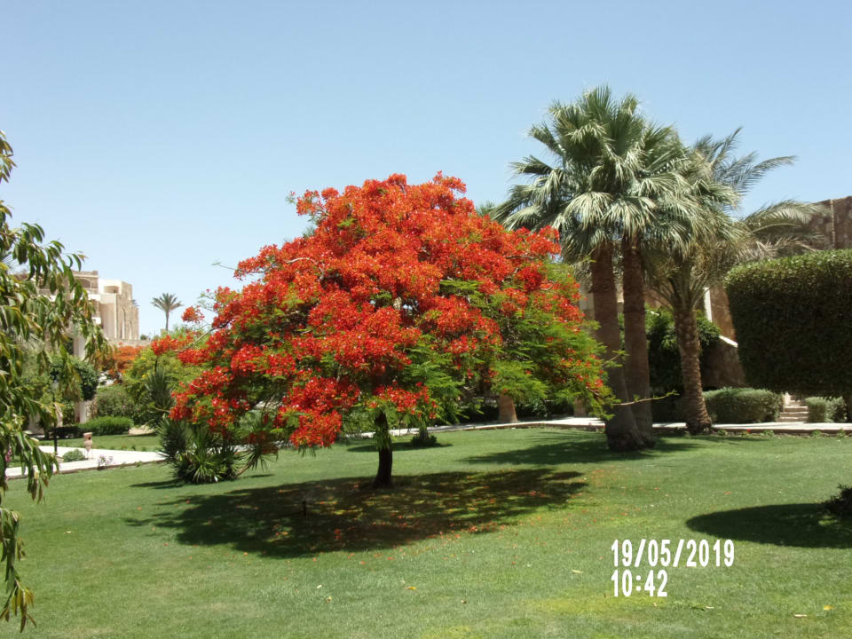 Gartenanlage Brayka Bay Resort