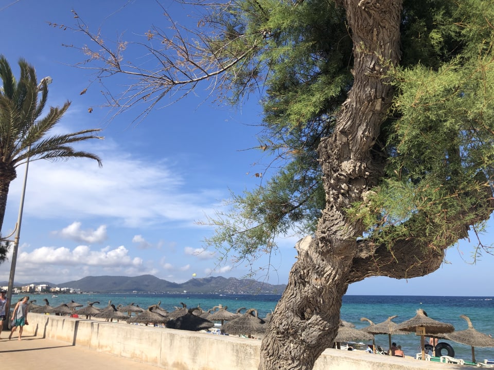 Strand allsun Hotel Borneo - Adults only