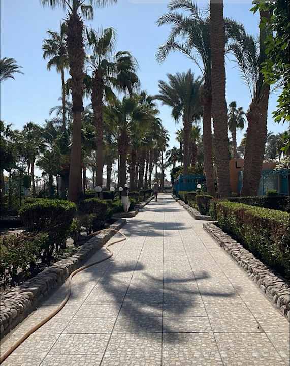 Ausblick Giftun Azur Resort