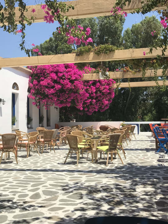 Gastro Ekaterini Hotel