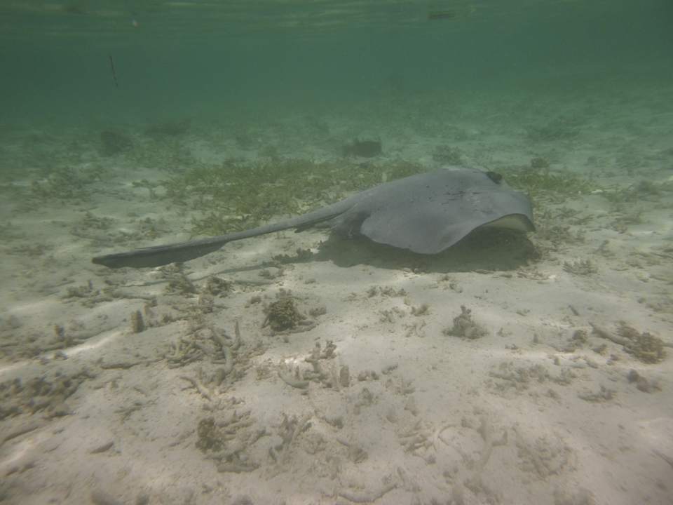 Sonstiges Adaaran Select Hudhuran Fushi - Premium All Inclusive