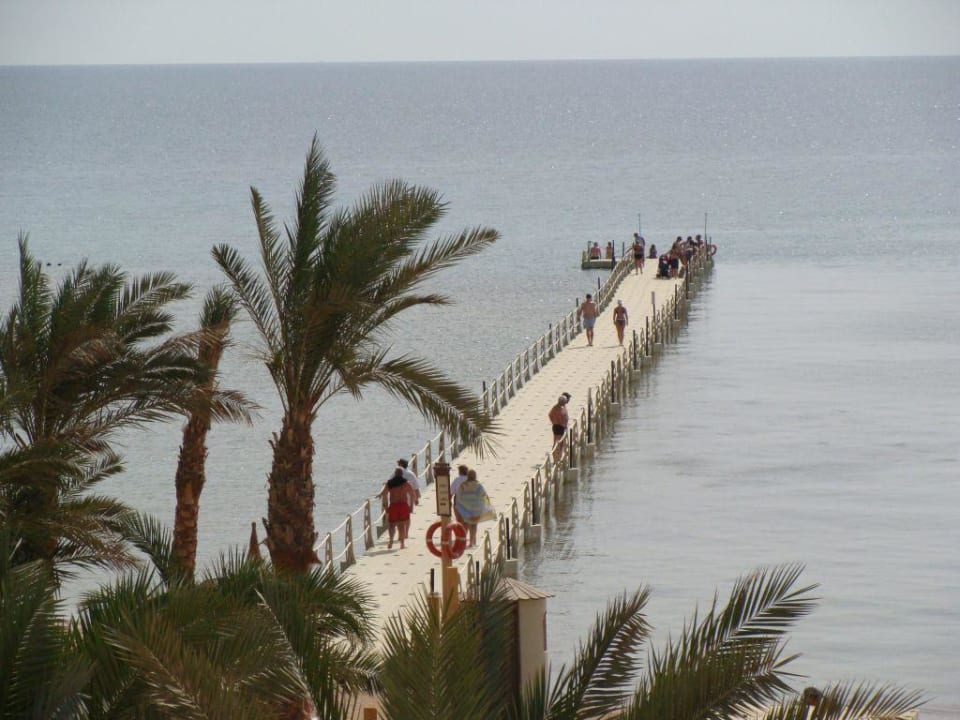 Steg zum Riff Pickalbatros Palace Resort