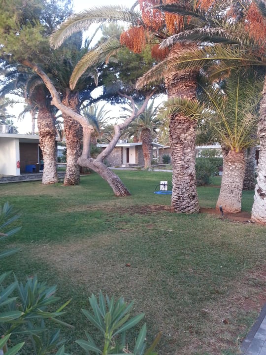 Gartenanlage Civitel Creta Beach