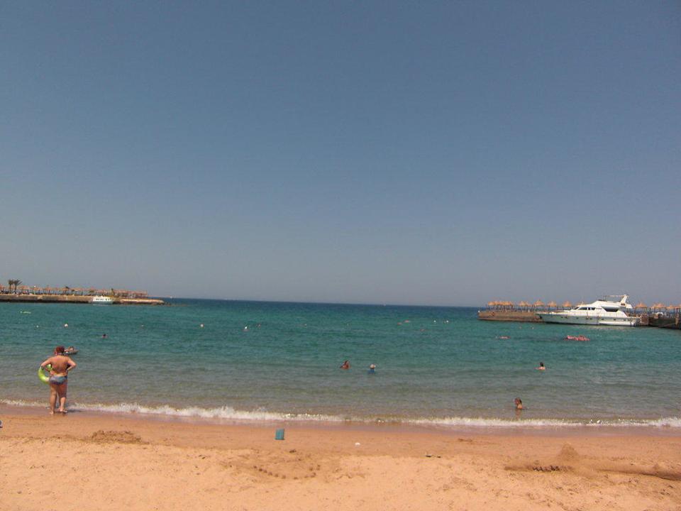 Glasklares Wasser Albatros Sharm Resort