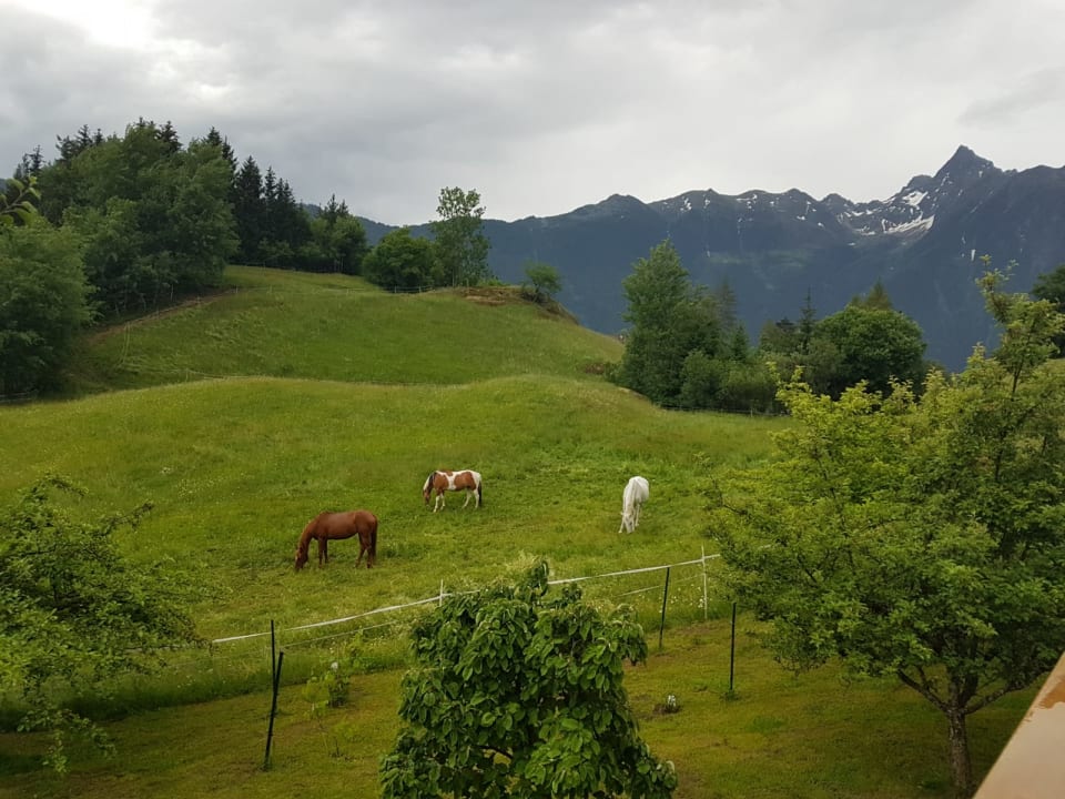 Ausblick Ferienhof Haderlehn
