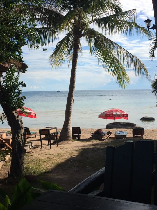 Ausblick vom Balkon Palm Leaf Resort Koh Tao