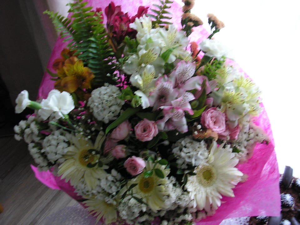 Geburtstag Jiva Beach Resort