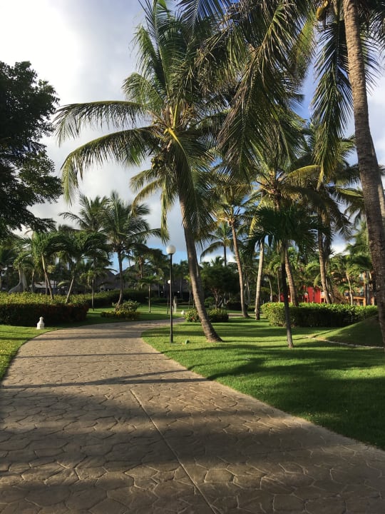 Gartenanlage Punta Cana Princess All Suites Resort & Spa