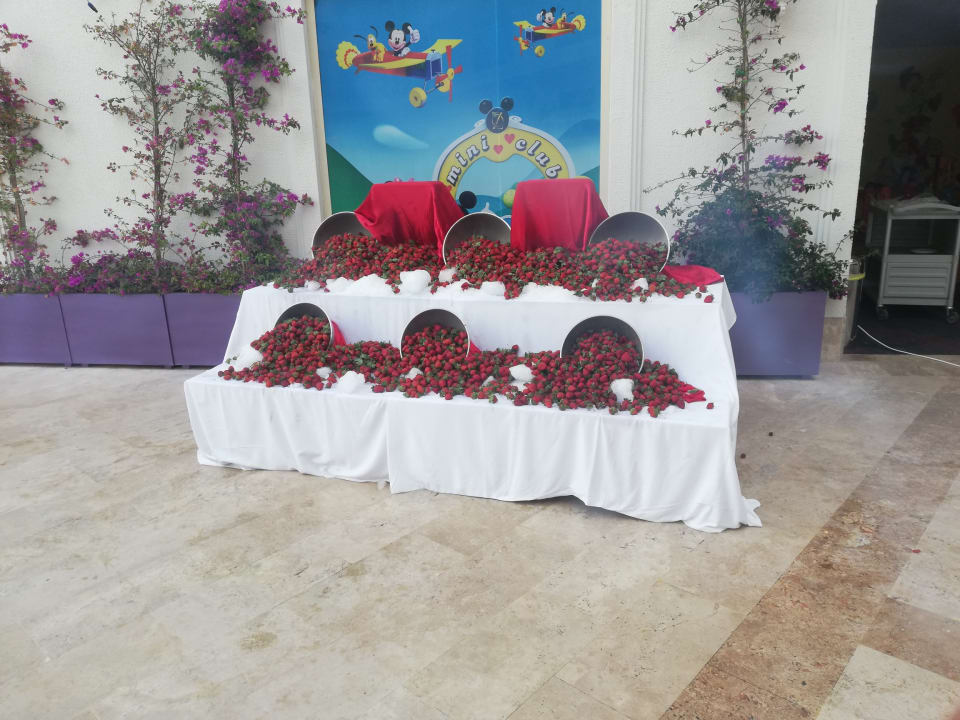 Gastro Oz Hotels Sui Resort