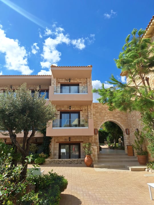 Gartenanlage Cactus Royal