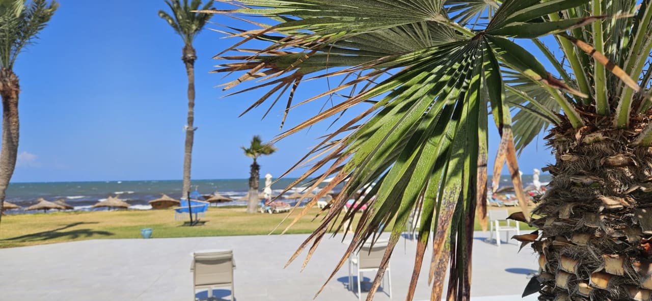 Ausblick Iberostar Selection Kuriat Palace