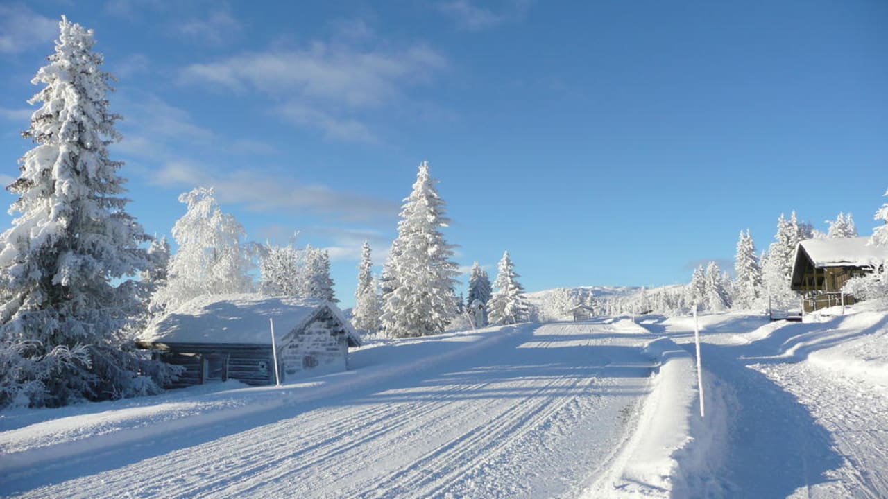 Skei Appartement Hytter Skei Appartement Hytter